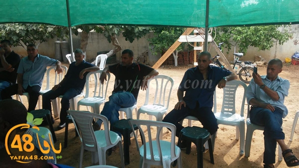 aabo sabalna (10).jpg